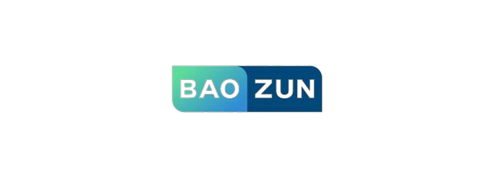 宝尊电商